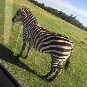 Meet your Posher, Christal